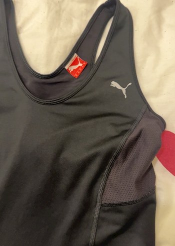 Puma m