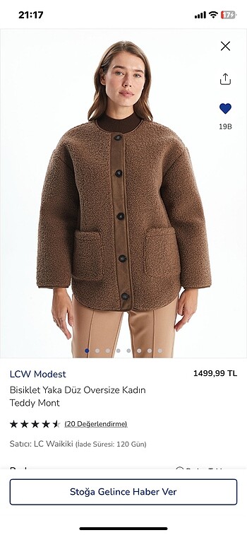 teddy mont