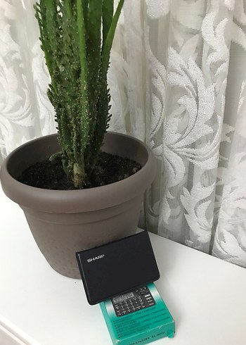 Siyah Erkek Cüzdan ve Hesap Makinesi - Görsel 3