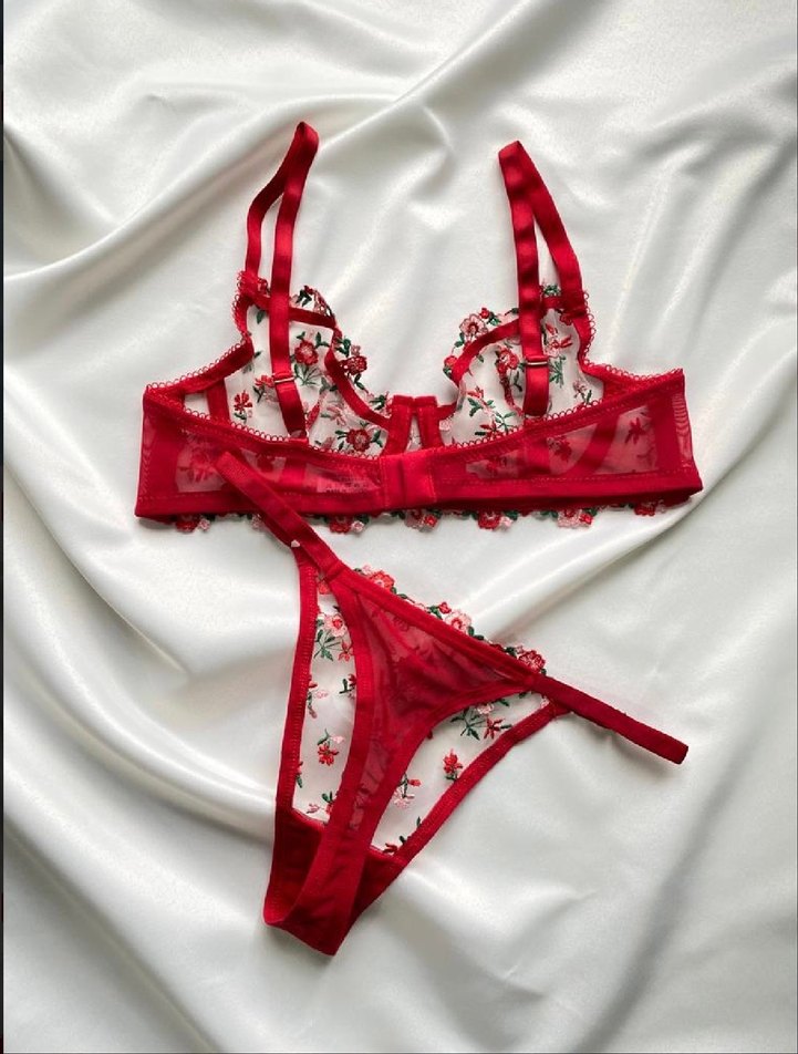 Kırmızı Nakışlı Sütyen Takımı - Görsel 2