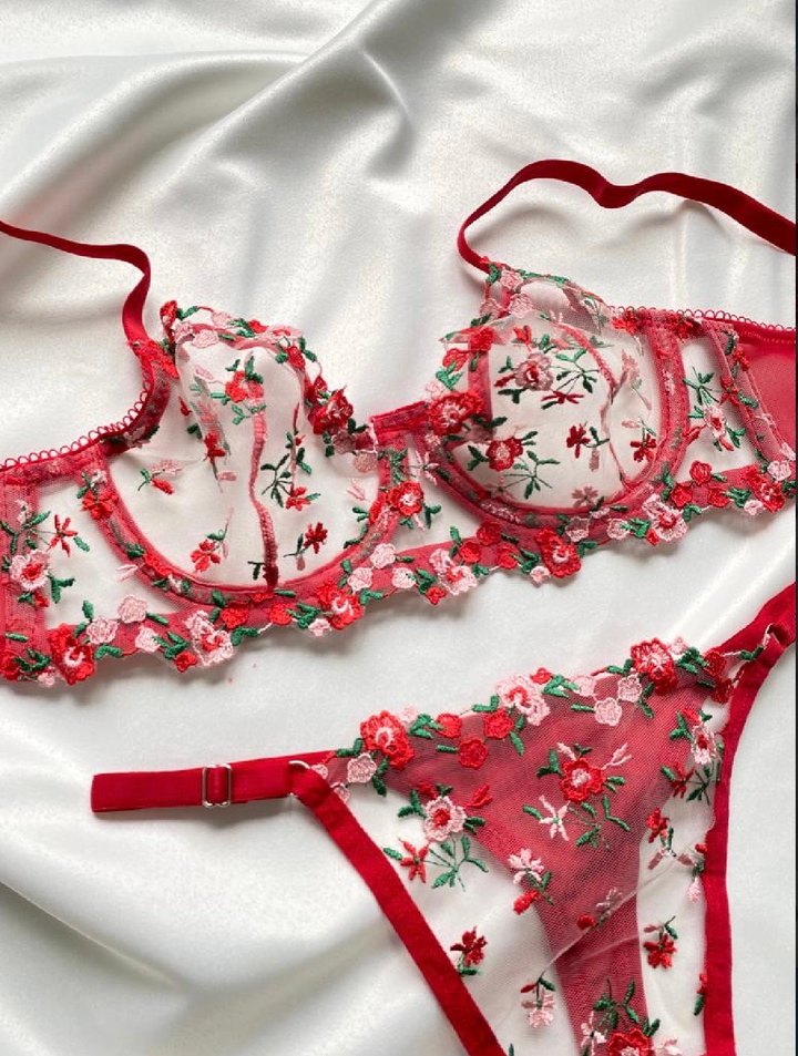 Kırmızı Nakışlı Sütyen Takımı - Görsel 3