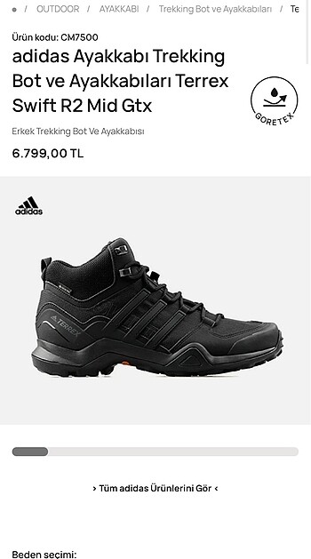 Adidas Terrex Swift R2 Mid Gtx Bot
