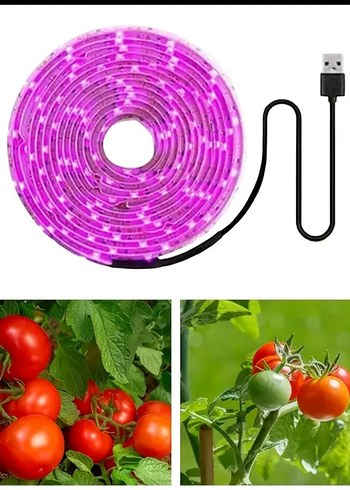 bitki büyütme UV ışık - Görsel 4