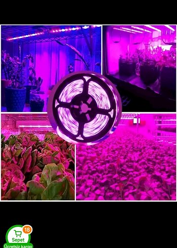 bitki büyütme UV ışık - Görsel 2