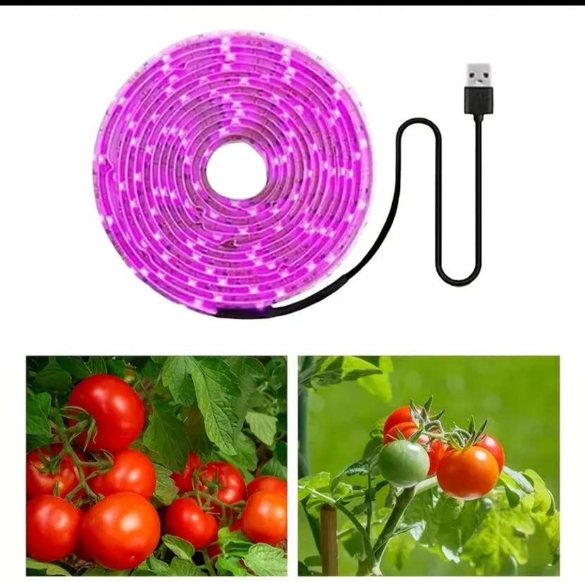 bitki büyütme UV ışık - Görsel 4