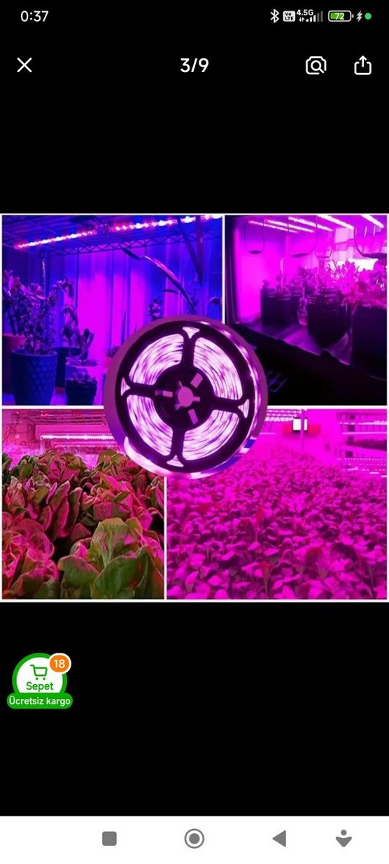 bitki büyütme UV ışık - Görsel 2