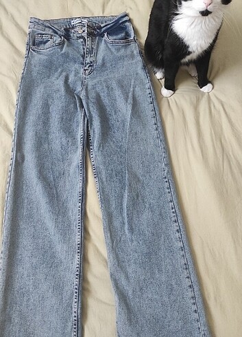 Kot pantolon