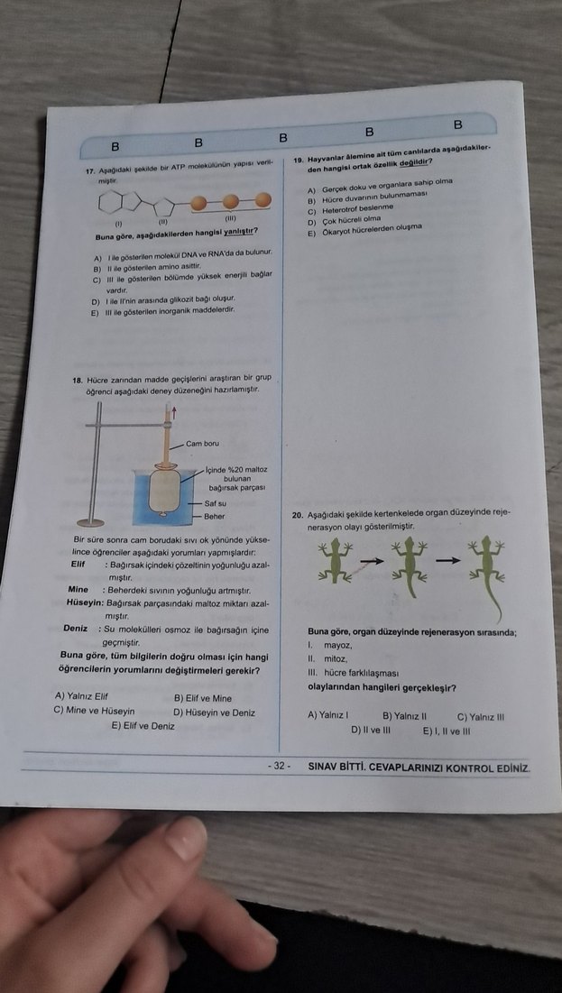 Yükseköğretim TYT Deneme Sınavı Kitapçığı B - Görsel 4