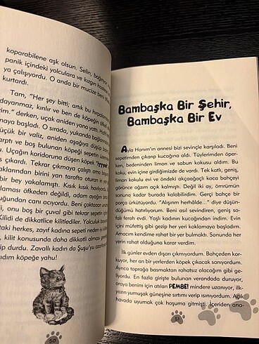 Beden Çıtıpıtı bir kedi olmak istemiyorum
