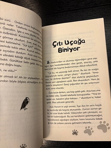 Beden Renk Çıtıpıtı bir kedi olmak istemiyorum