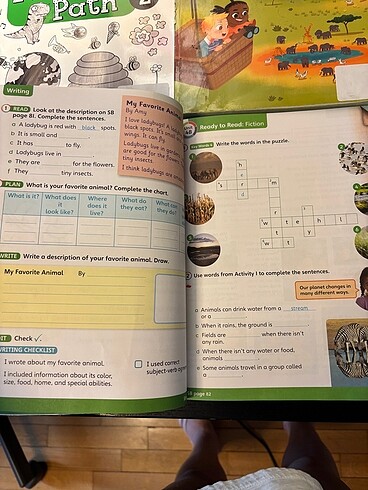Beden Renk İngilizce (Cambridge Primary Path 2) 4 kitap