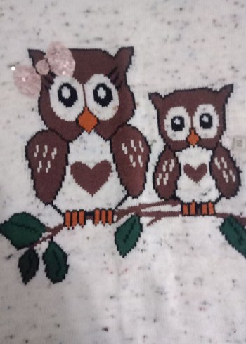 LC Waikiki marka Gri Uzun Kollu Örgü Kadın Kazak - Görsel 6