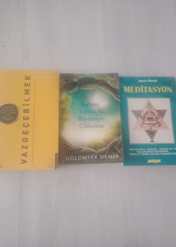 Gülseren Budayıcıoğlu Roman Seti - Görsel 4