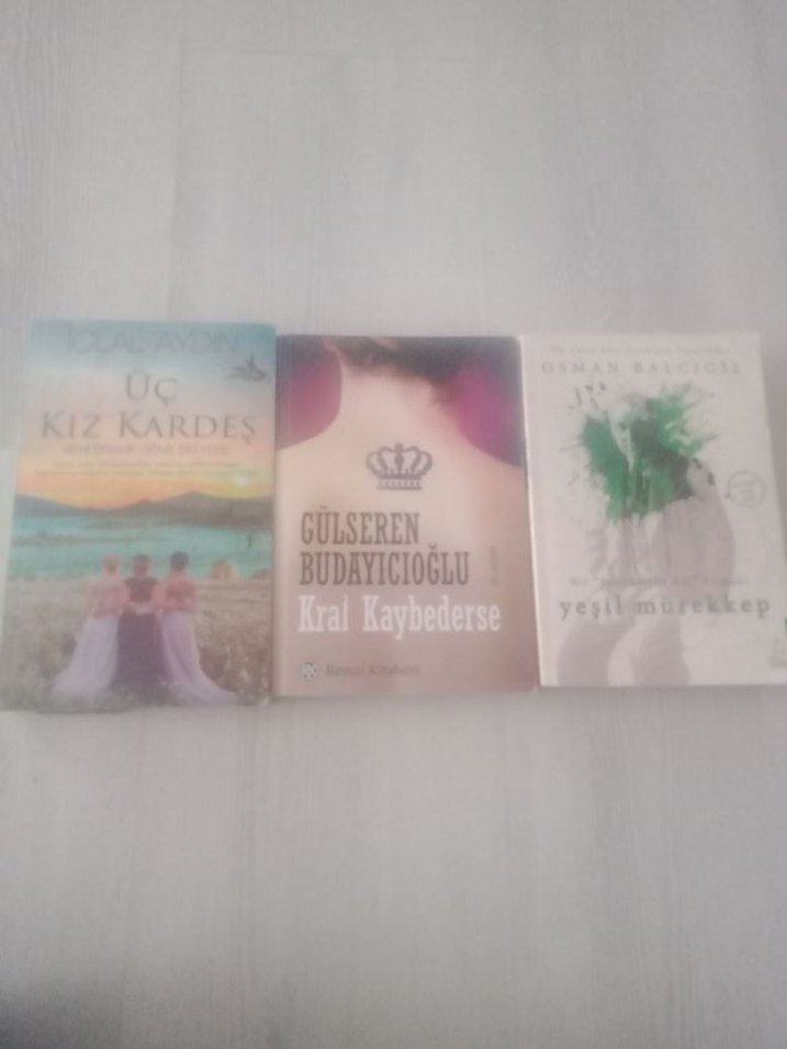 Gülseren Budayıcıoğlu Roman Seti - Görsel 2