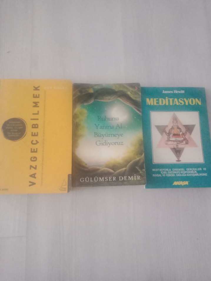 Gülseren Budayıcıoğlu Roman Seti - Görsel 4