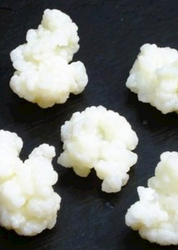 organik kefir mayası - Görsel 2