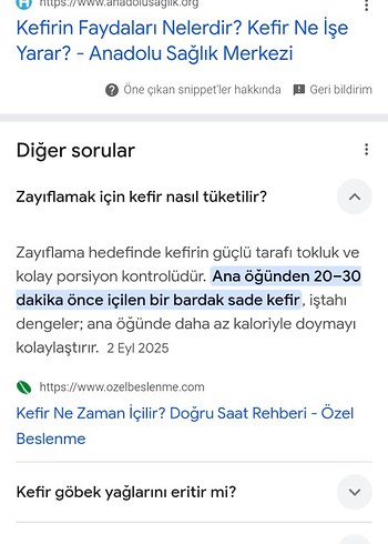 organik kefir mayası - Görsel 13