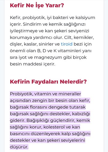 organik kefir mayası - Görsel 3