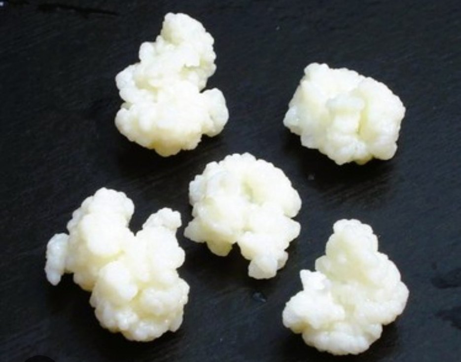 organik kefir mayası - Görsel 2