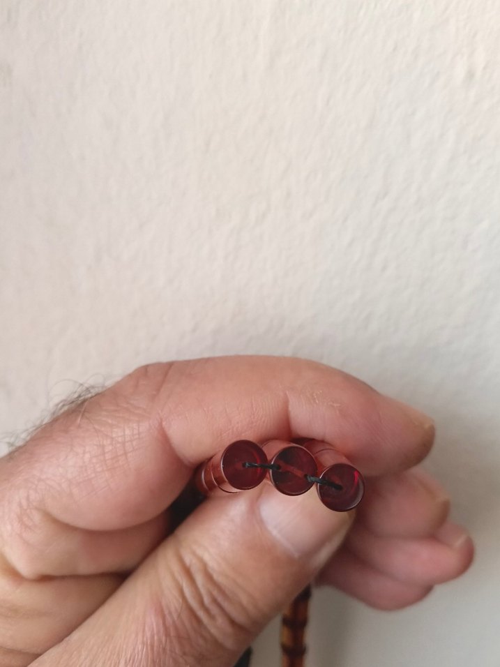 Parlak Deve Tüyü Renkli Erkek Tesbih - Görsel 2