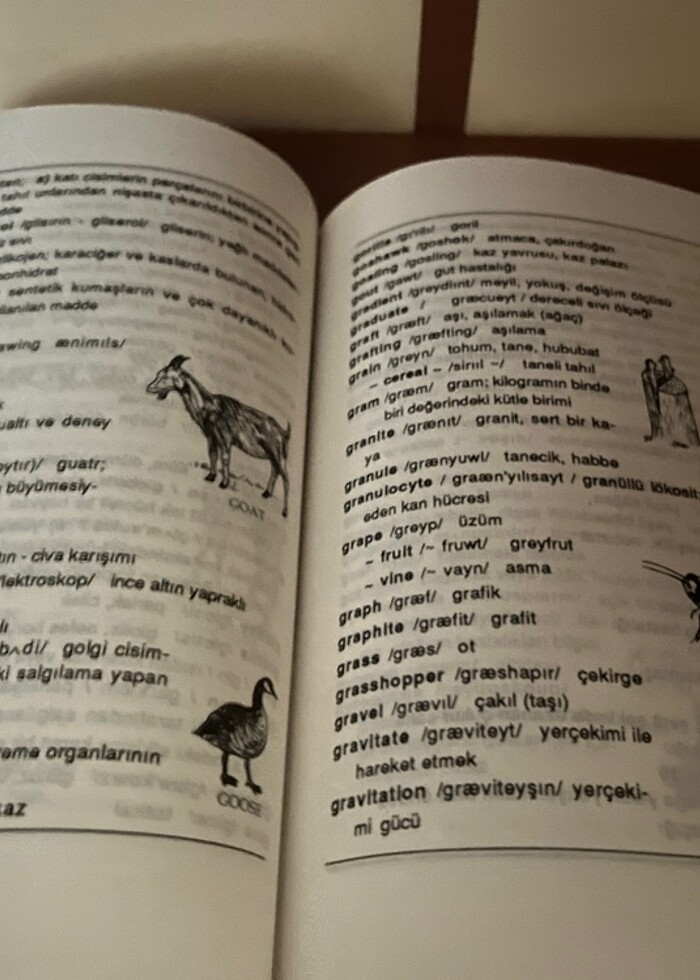 Science Dictionary (Pictorial Basic) - Görsel 2