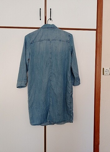 Kot tunik