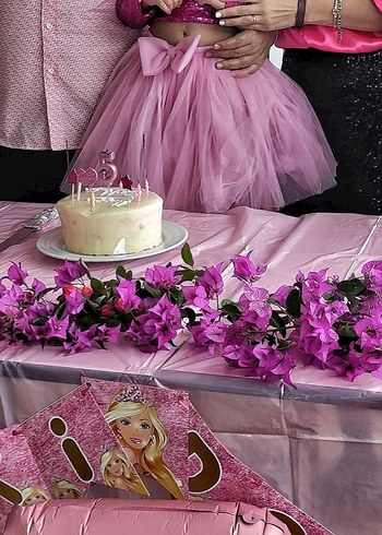 Barbie kostümü - Görsel 4