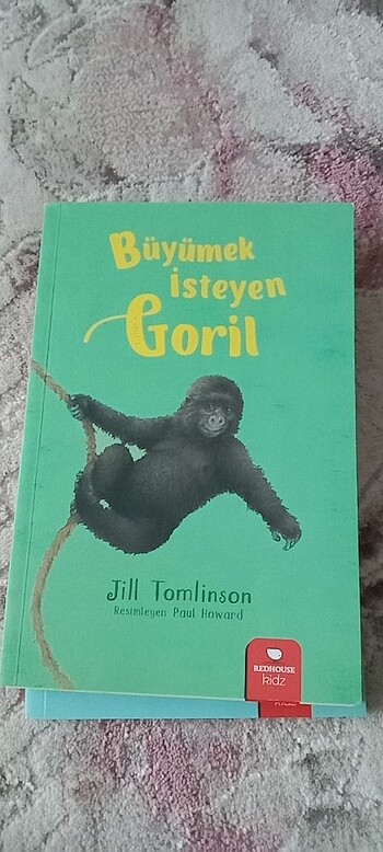  Beden Renk Çocuk kitabı 