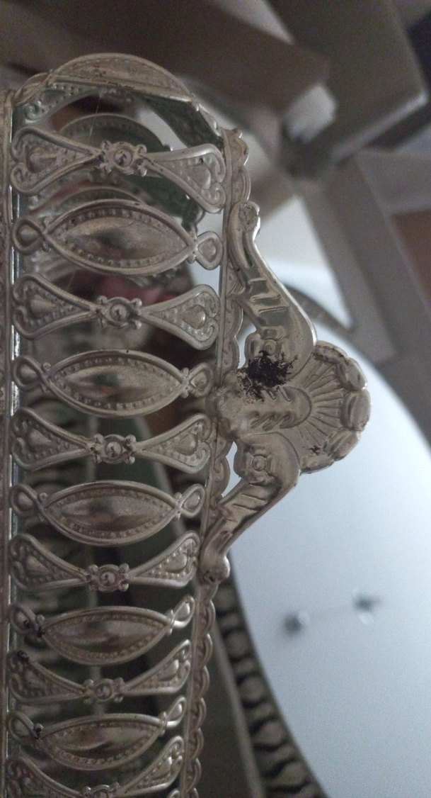 Gri ve Beyaz Dekoratif sunumluk - Görsel 3