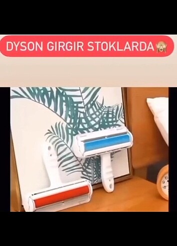 Dayson gırgır 