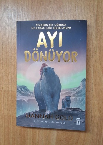 Ayı Dönüyor kitap