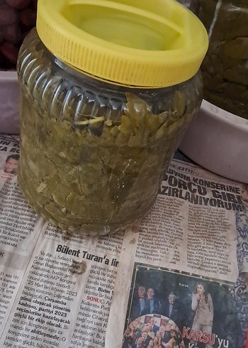  Beden Renk çekirdeksiz üzüm yapragi ince ve damarsiz- Ev Yapımı