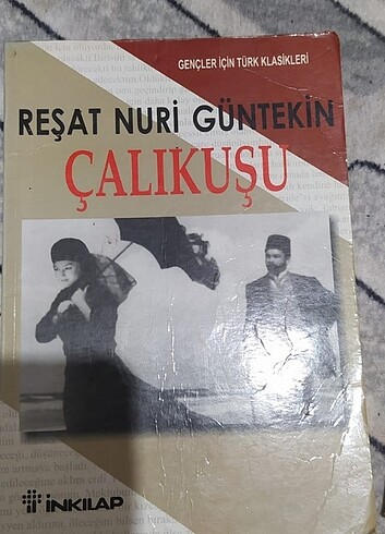 Çalıkuşu ince