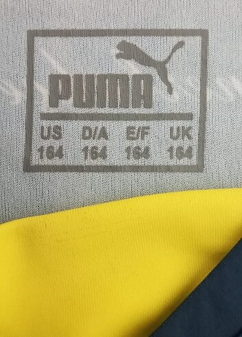 Puma Avıs Fenerbahçe Forma