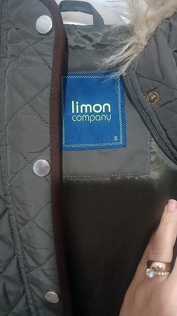 Limon company - Görsel 2