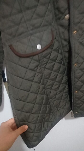 Limon company - Görsel 3