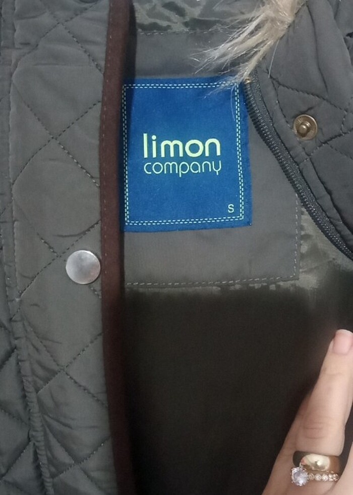 Limon company - Görsel 2