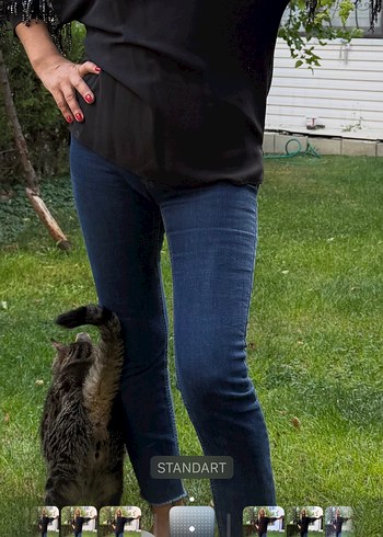 Siyah, Pullu Dantel Detaylı Kadın Bluz - Görsel 3