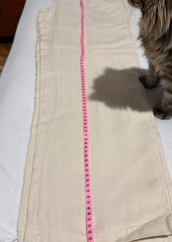 Ekol Bej Kadın Midi Kumaş Pantolon - Görsel 5