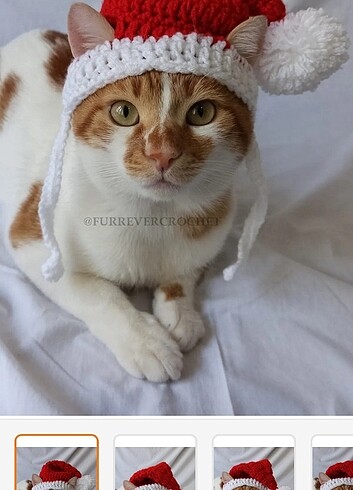 Kedi şapkası 