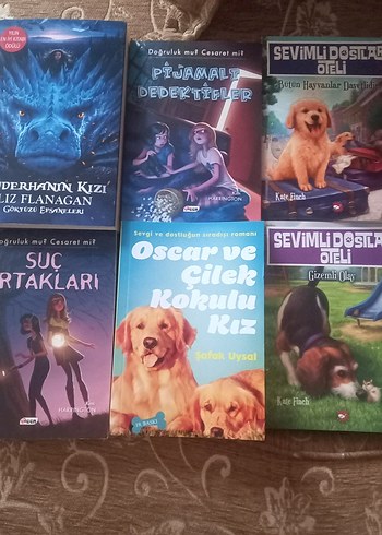 Ellie Boswell Fantastik Kitap Seti - Görsel 4