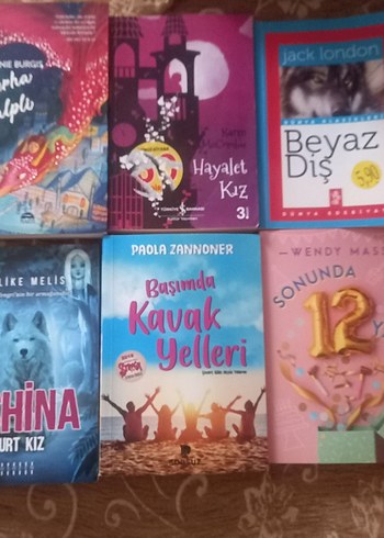 Ellie Boswell Fantastik Kitap Seti - Görsel 3