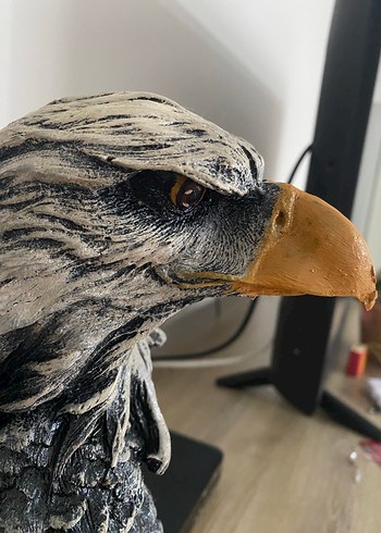 Beşiktaş Kartal biblosu - Görsel 2