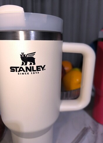 Beden ten rengi Renk Stanley Termos 1 lt