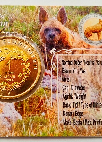 2014 Hayvanlar Serisi Çizgili Sırtlan..