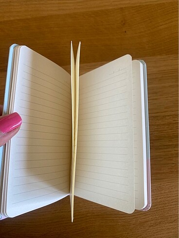 Diğer Mini defter