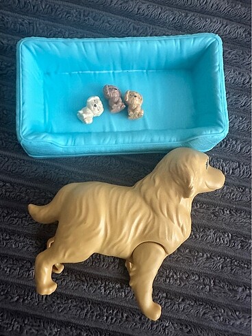 Beden Barbinin köpeği ve yavruları