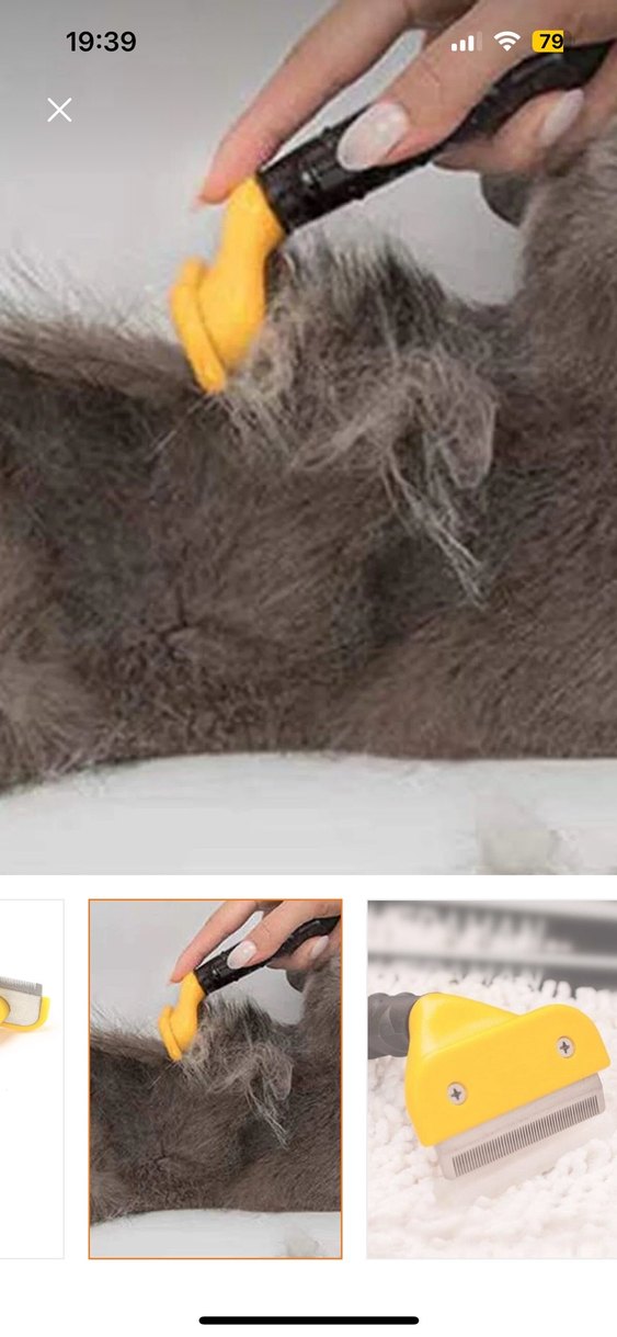 Renkli Sarı Kedi - Köpek Tüyü Temizleyici - Görsel 3