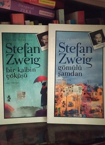 Stefan zweig