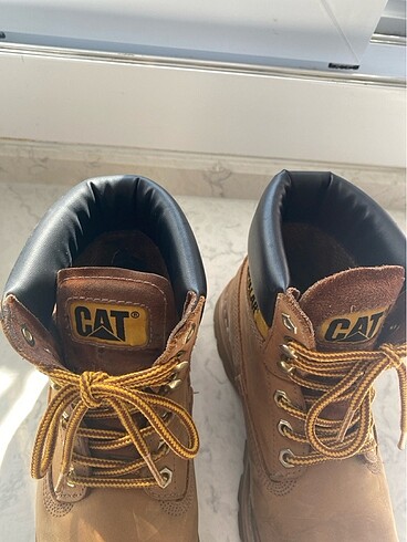38 Beden Cat bot